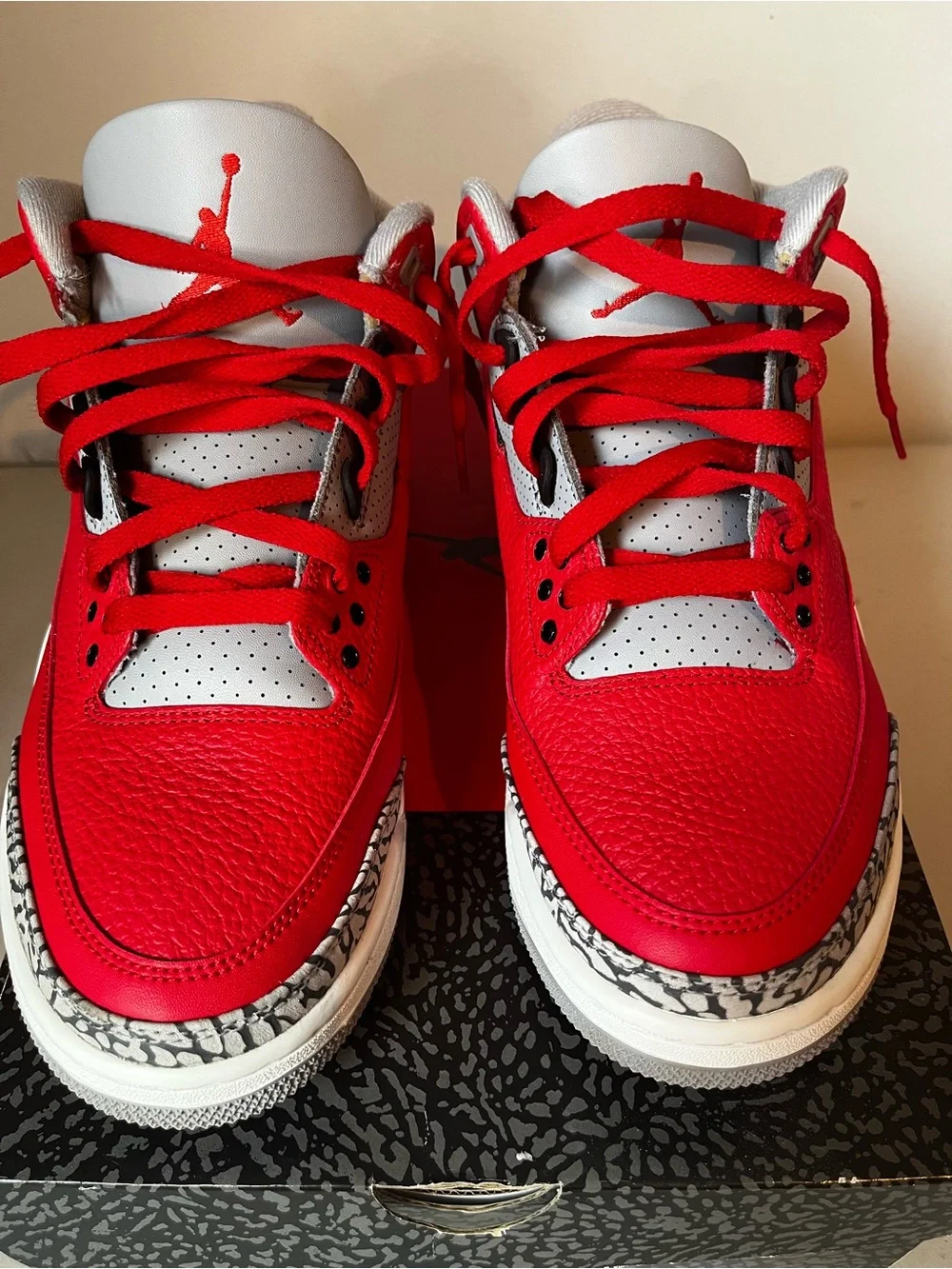 2019 Air Jordan 3 Retro SE Fire Red